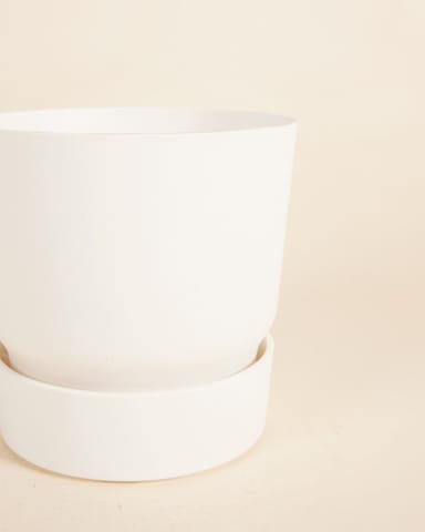 Elho Miles Round Pot White Ø 13 cm
