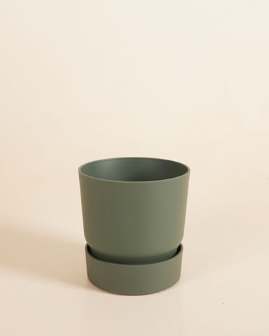 Elho Miles Runder Topf Grün Ø 13 cm