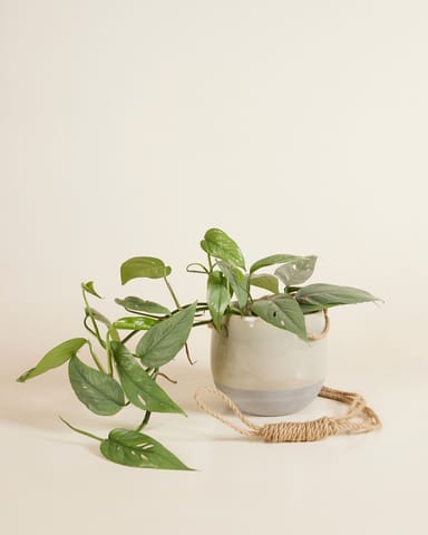 Nea Hängetopf Blau Ø 13 cm