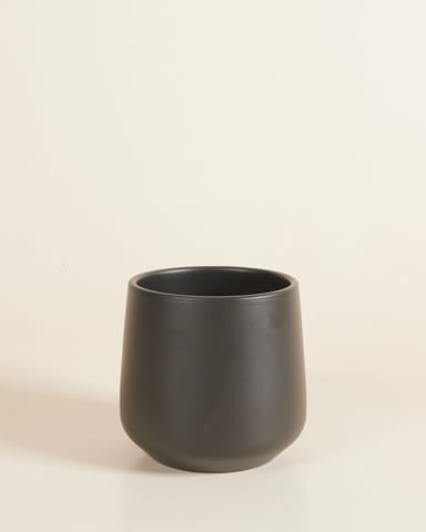 Amber Pot Zwart Ø 12 cm