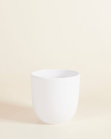 Lexi Pot Wit Ø 12.5 cm