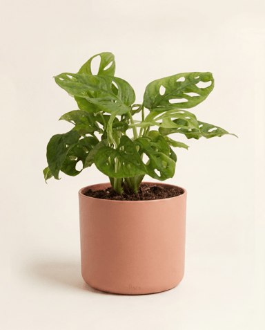 Elho B.For Soft Ø 14 cm