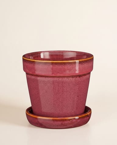 Clint Pot with Saucer Pink Ø 15 cm
