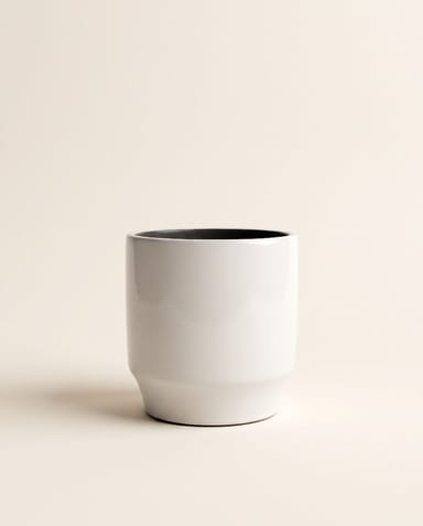 Diaz Pot White Ø 14 cm