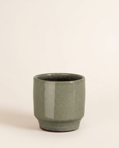 Diaz Pot Green Ø 14 cm