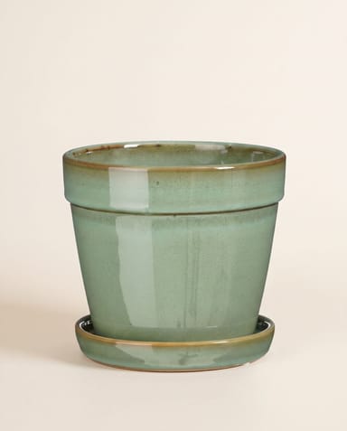 Clint Pot with Saucer Mint Green Ø 15 cm