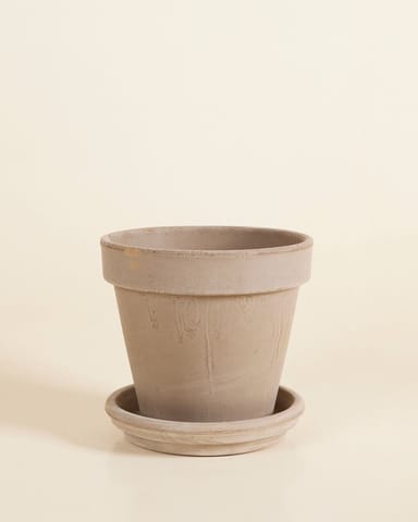 Pot en terre cuite Gris Ø 16 cm