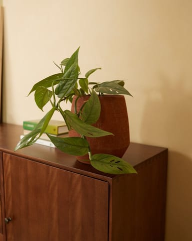 Hubert Pot Terra Ø 13.5 cm