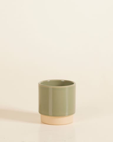 Bébé Lisa Pot Vert Ø 7 cm