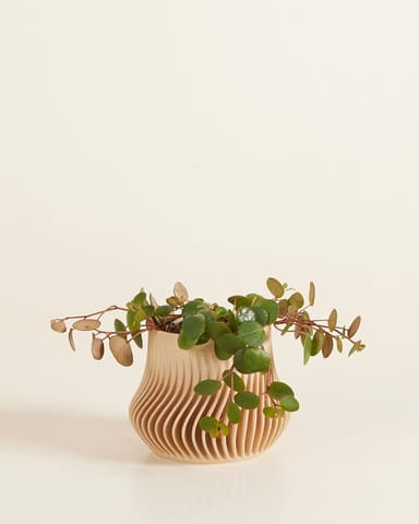 Bébé Robin Wood Pot Wavy Ø 5.5 cm