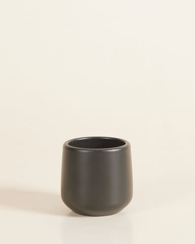 Bébé Amber Pot Noir Ø 6 cm