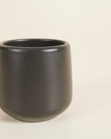 Bébé Amber Pot Noir Ø 6 cm