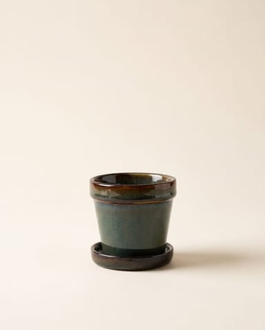 Baby Clint Pot with Saucer Green Ø 7.5 cm