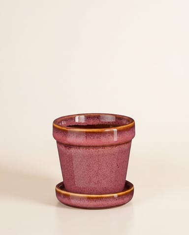 Baby Clint Pot with Saucer Pink Ø 7.5 cm