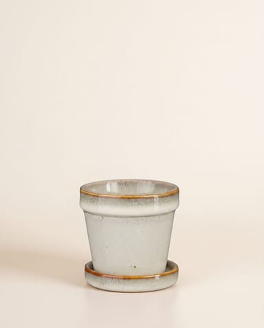 Baby Clint Pot with Saucer Off White Ø 7.5 cm
