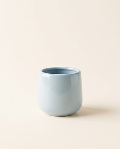 Baby Amber Pot Light Grey Ø 8 cm