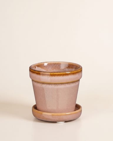 Baby Clint Pot with Saucer Light Pink Ø 7.5 cm