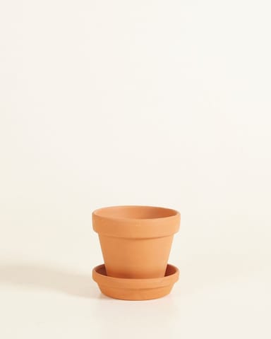 Baby Orange Terracotta Pot Ø 9 cm