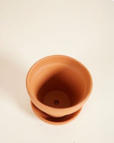 Baby Orange Terracotta Pot Ø 9 cm