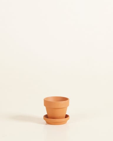 Baby Orange Terracotta Pot Ø 5 cm
