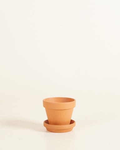 Baby Orange Terracotta Pot Ø 8 cm