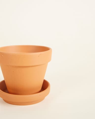 Baby Orange Terracotta Pot Ø 8 cm