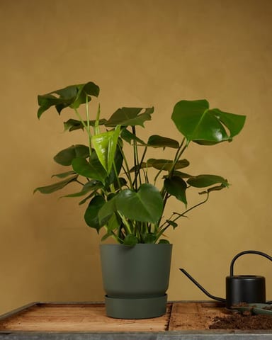Elho Miles Round Pot Green 24 cm