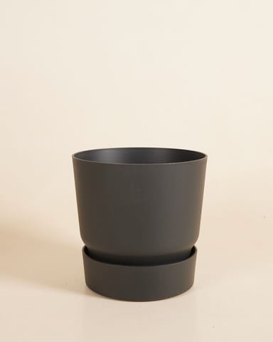 Elho Miles Round Pot Black Ø 18.5 cm