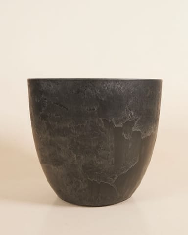 Bola Pot Black Ø 33