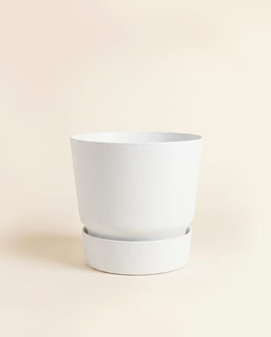 Elho Greenville Ø 20 cm