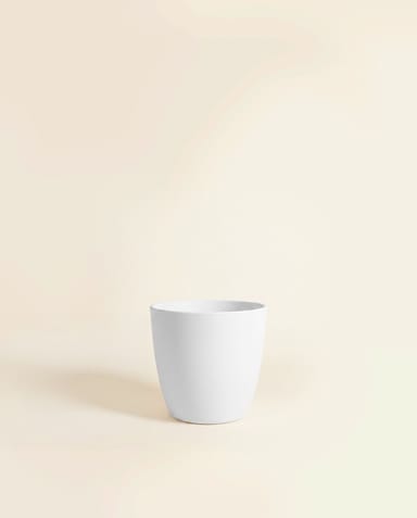 Elho Brussels® Topf Ø 22 cm
