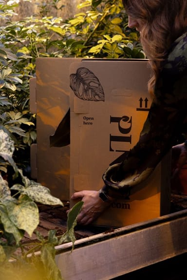 Rare plants sustainability box Large Product set