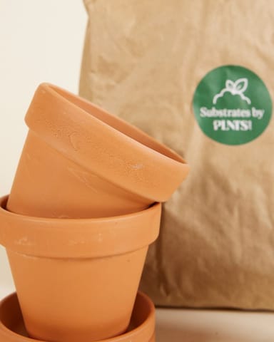 Baby Groei Set 2x Pot 9cm, Grond 3l, Plantenvoeding