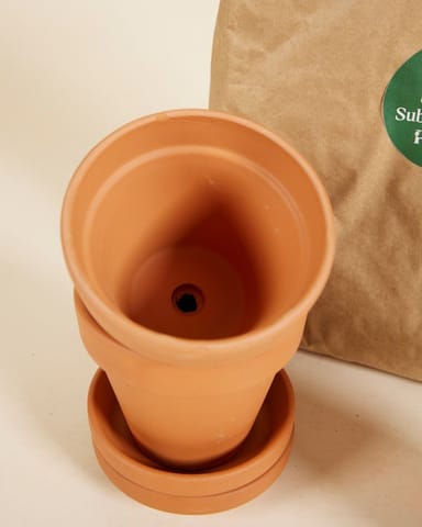 Baby Groei Set 2x Pot 9cm, Grond 3l, Plantenvoeding