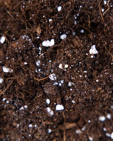 Succulents potting mix kit productset