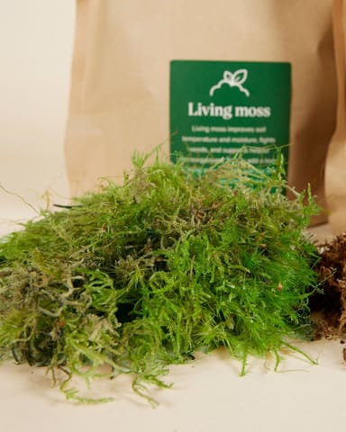 Kokedama Kit Productset
