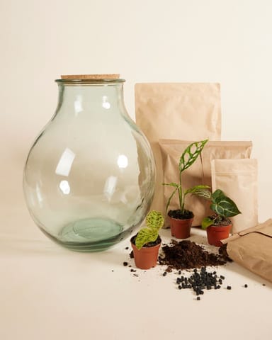 Olly Terrarium Large Expert Kit productset
