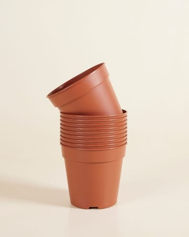 Satz mit 10 Anzuchttöpfe Ø 12 cm Productset