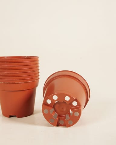 Set di 10 vasi da vivaio Ø 6 cm Productset
