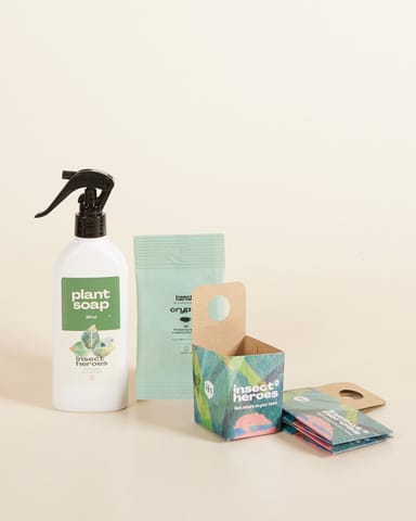  Offerta combinata di controllo dei parassiti: cocciniglie farinose Crypto + Plantsoap