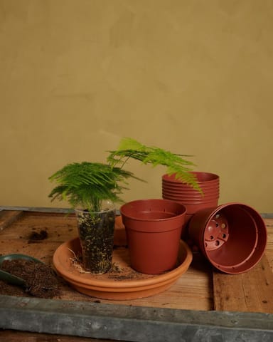 Set van 5 Kweekpotten Ø 12 cm Productset