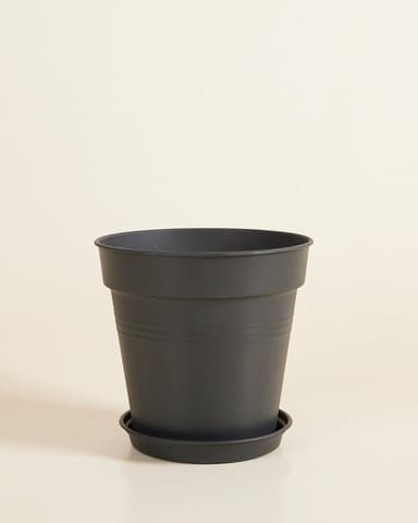 Elho Hagrid Grow Pot Productset
