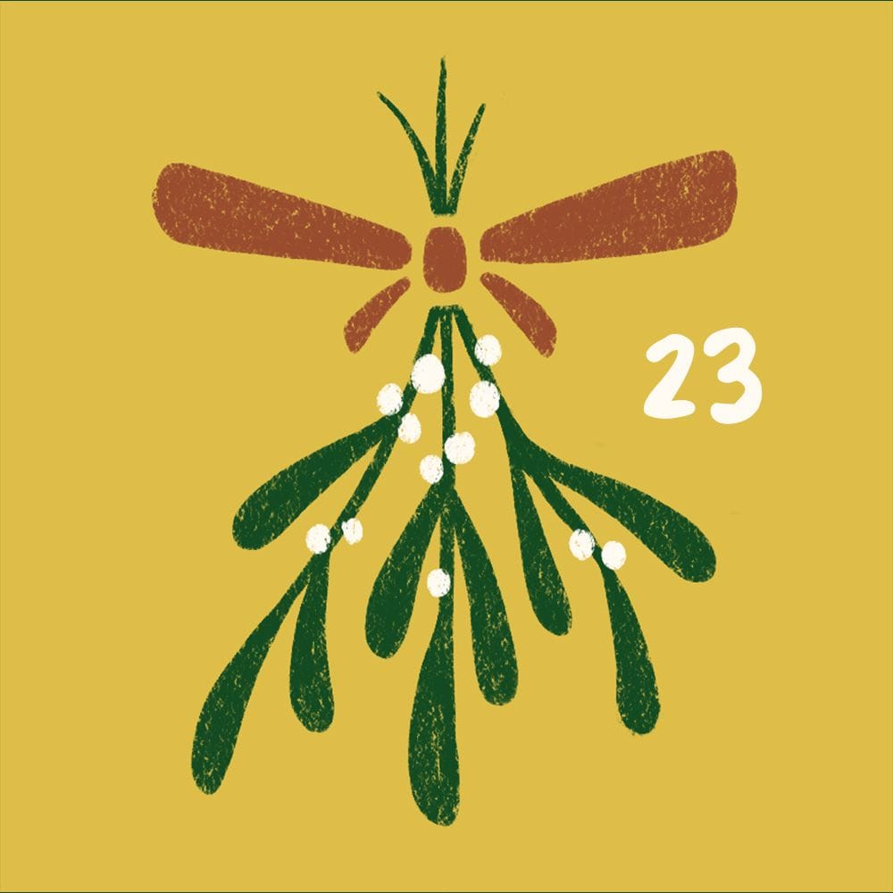 23
