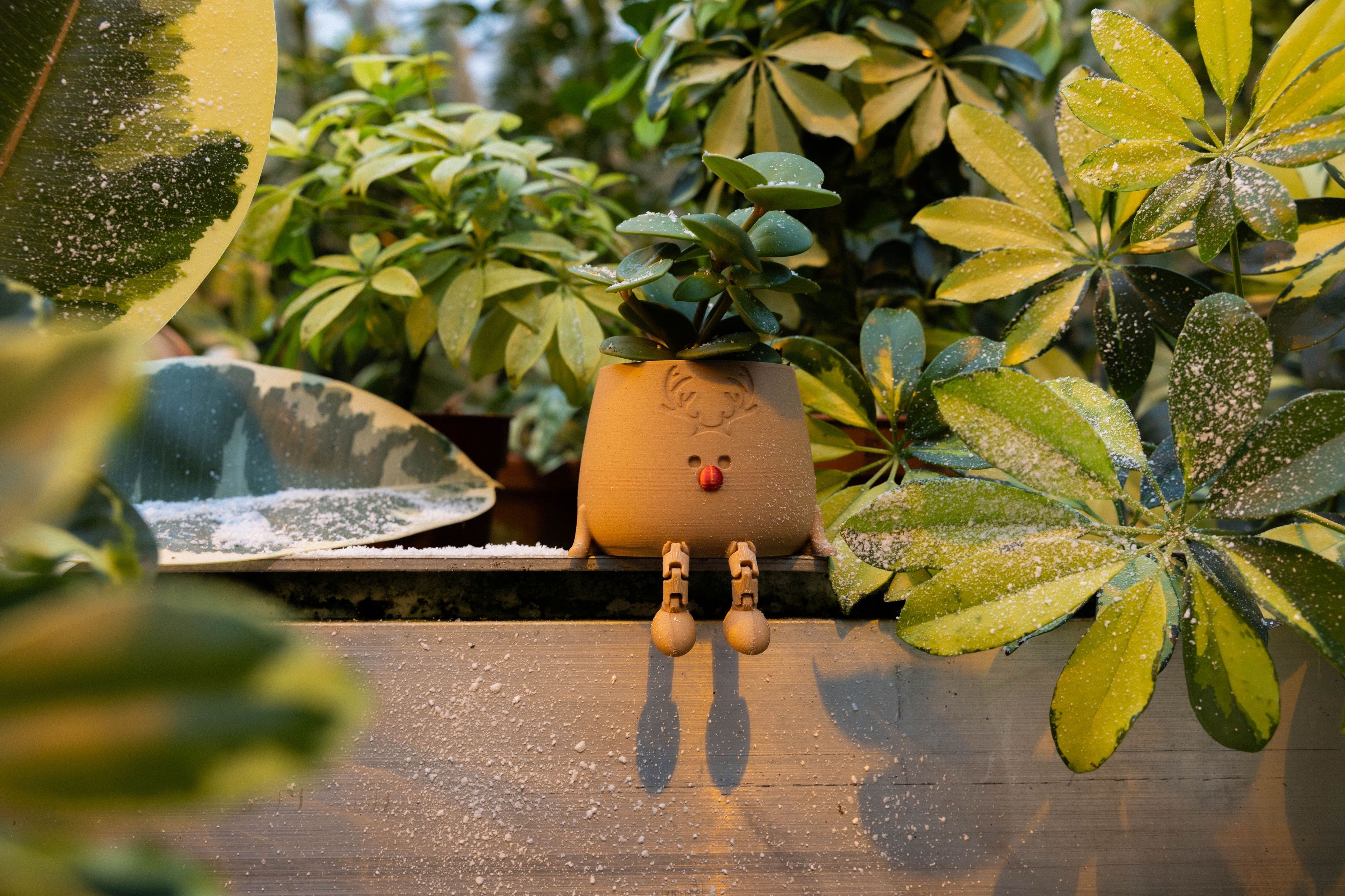 Adventkalender-264-10
