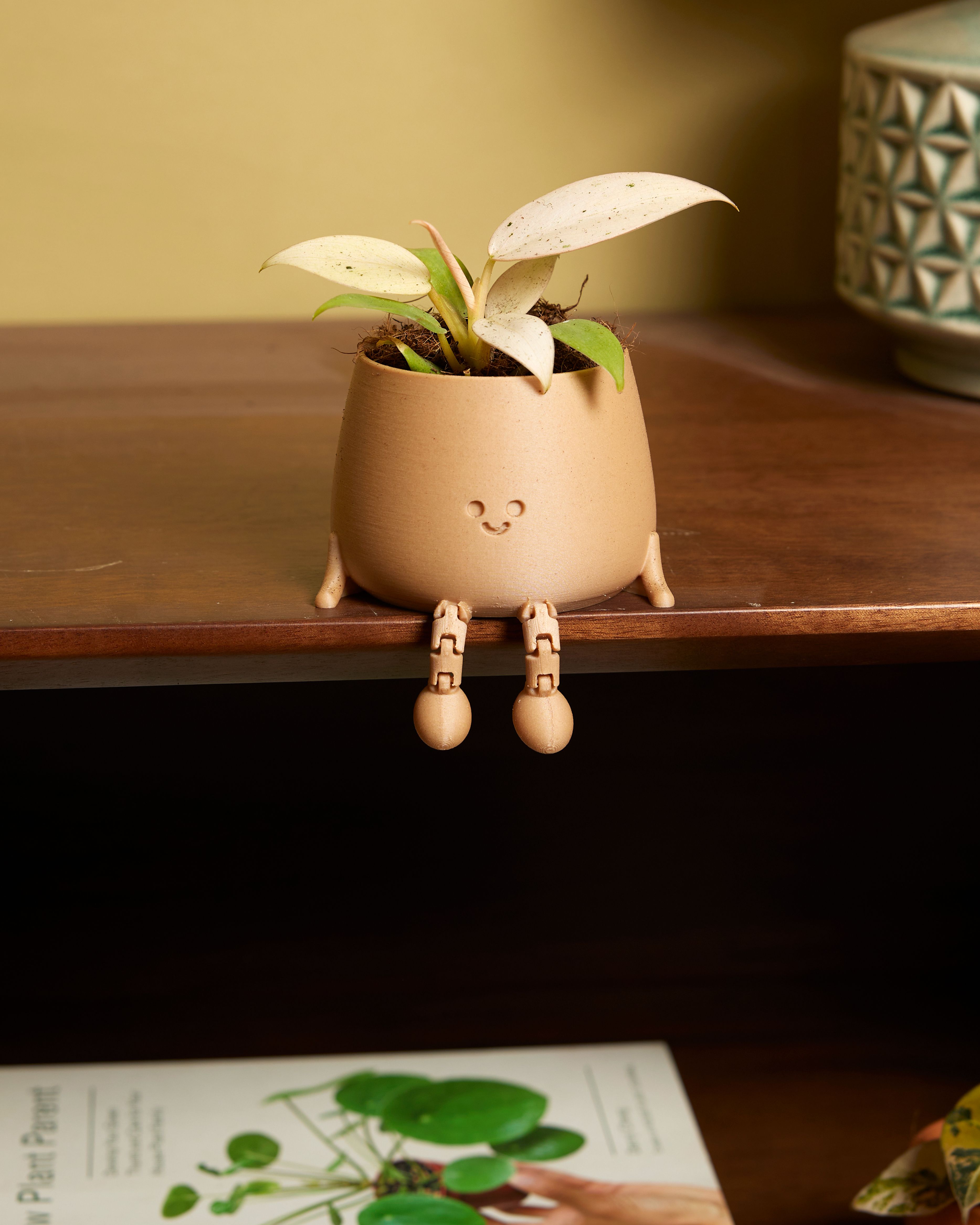 PLSM256-P003867-5