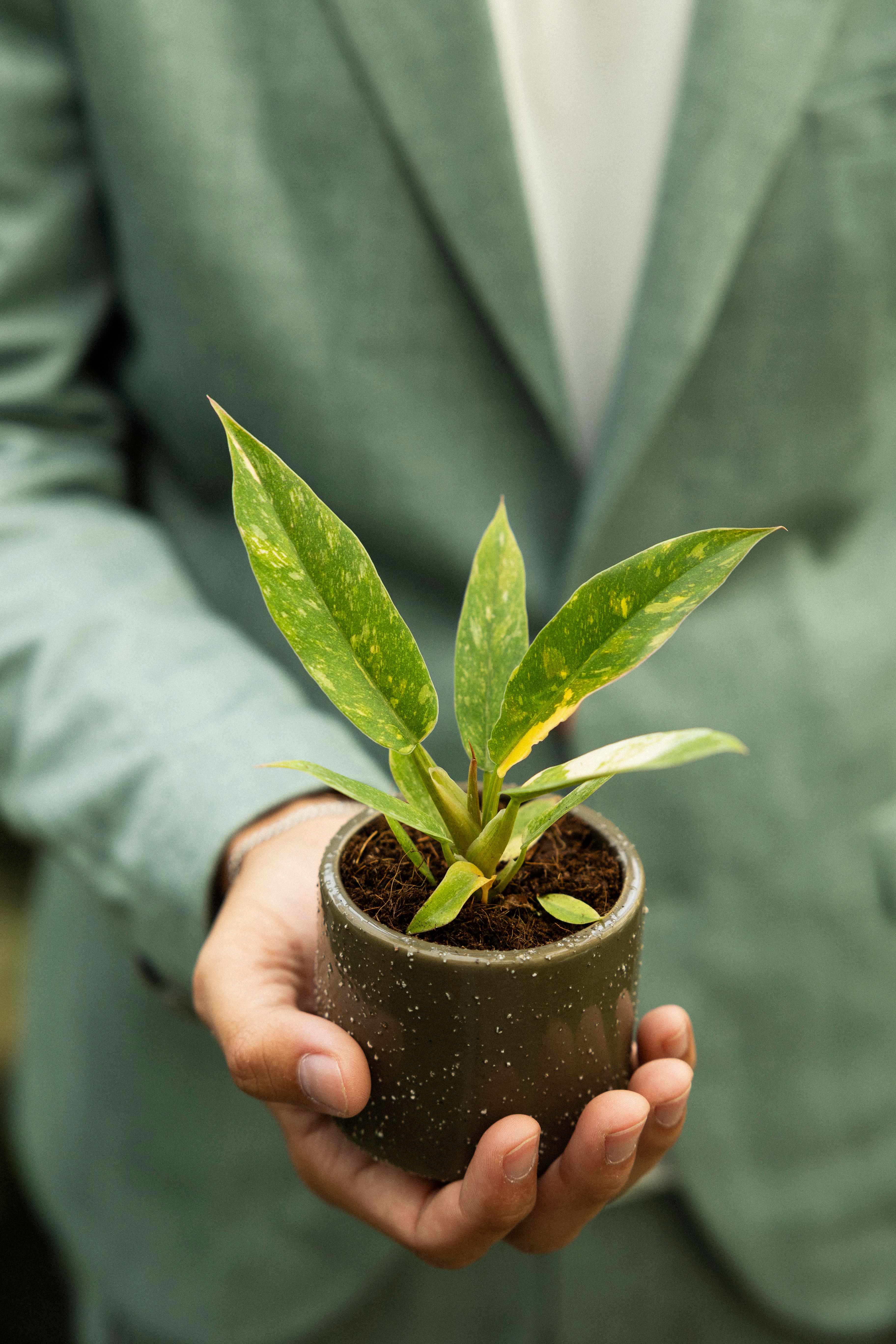 Plant of the month_September_Jordi_007