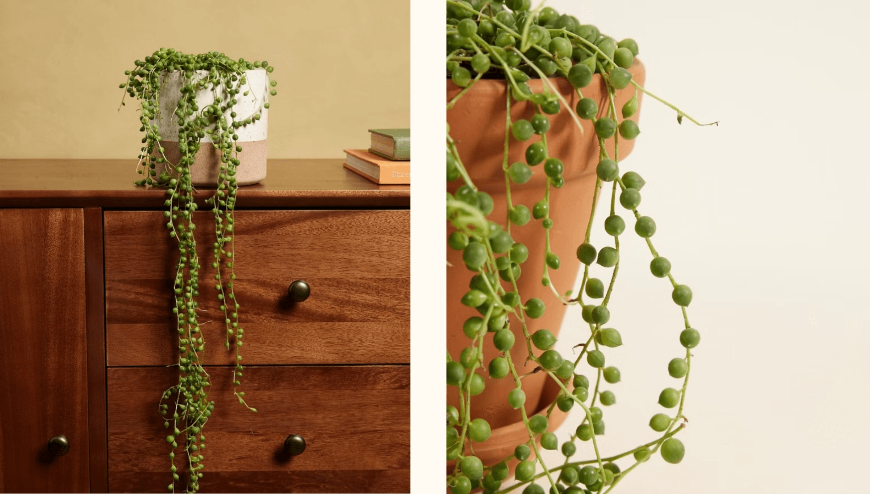 Valentine blog -String of pearls