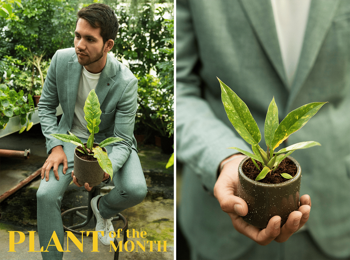 plantofthemonthseptember.png