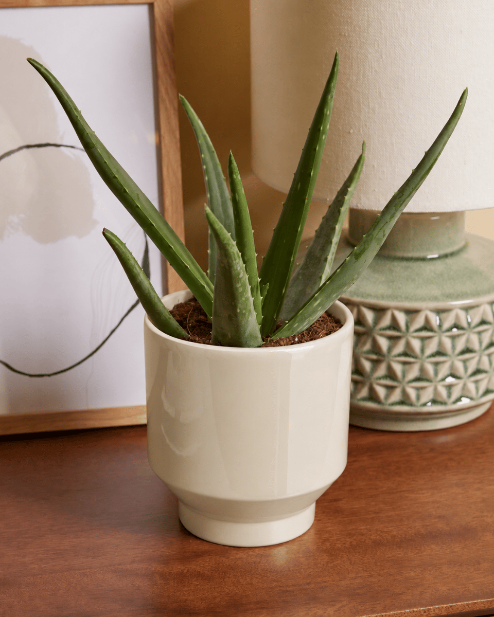 Paulo Pot Beige Ø 12 cm