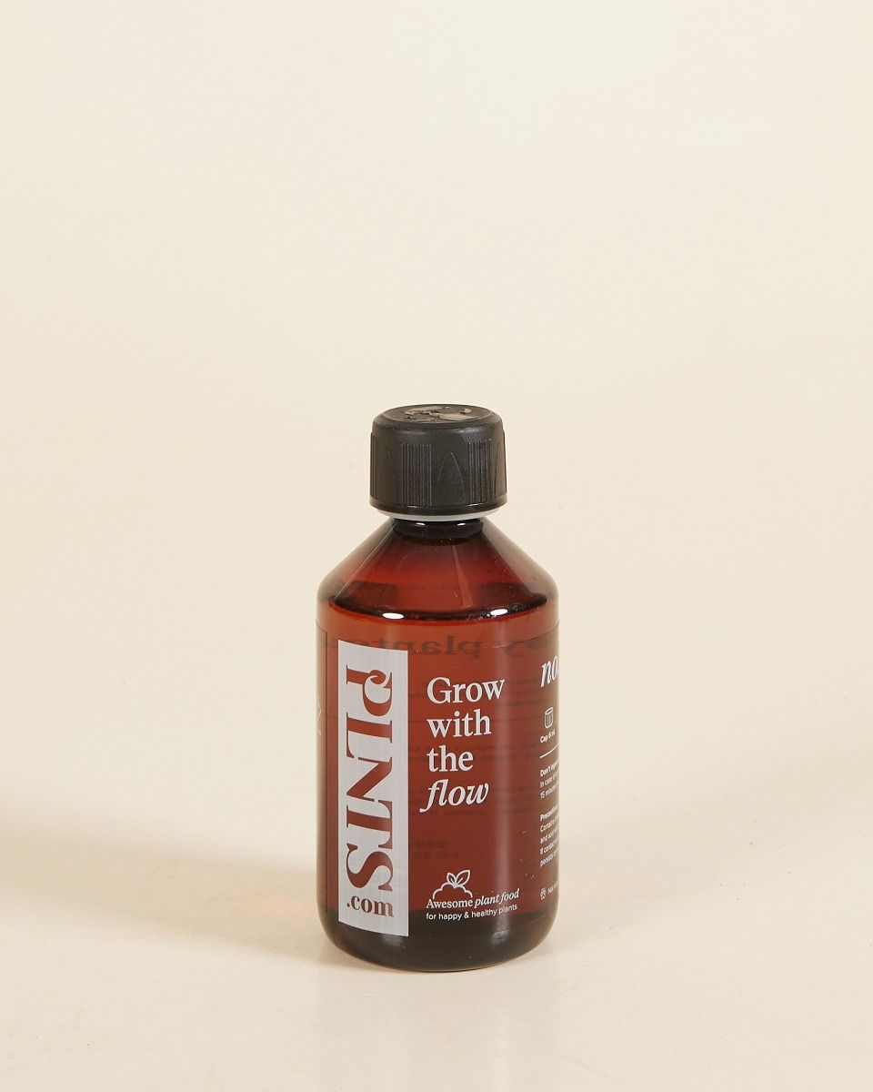PLNTS Pflanzennahrung 250 ml